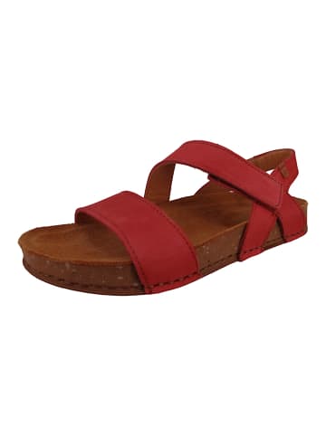 El Naturalista Sandalen rot