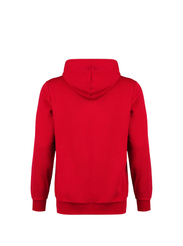 Puma Kapuzenpullover teamGOAL 23 Casuals in rot