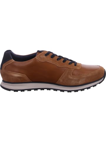 Bugatti Sneaker Cirino in Braun