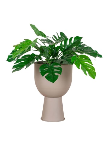 ebuy24 Übertopf Amalfi Sandfarben 19 x 19 cm