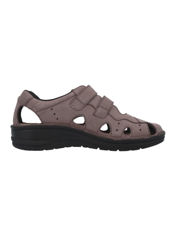 Berkemann Sandalen Larena in Stone