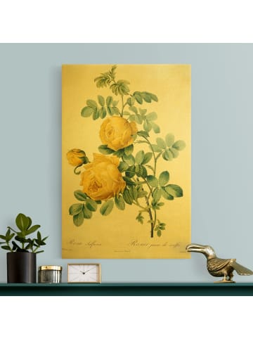 WALLART Leinwandbild Gold - Pierre Joseph Redouté - Rosa Sulfurea in Gelb