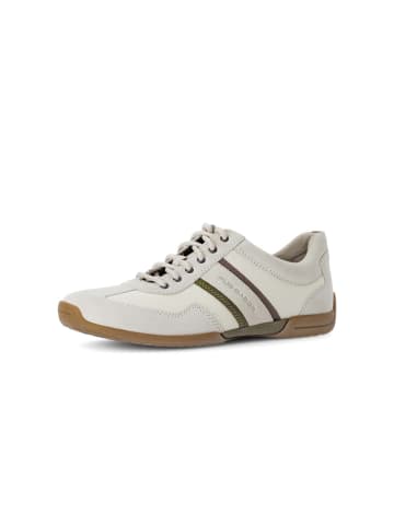 Pius Gabor Sneaker low in weiß