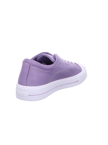 Andrea Conti Schnürschuh in lila