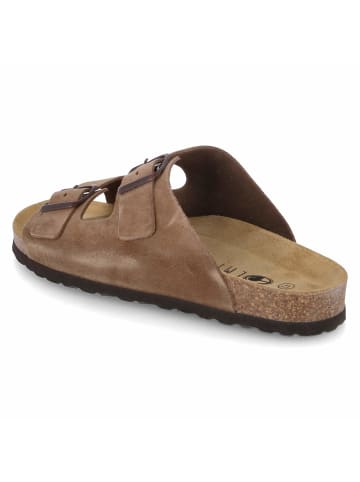 Beliano Pantolette in brown