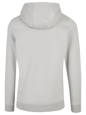 Mister Tee Sweat & Fleece - Hoodies in lightasphalt