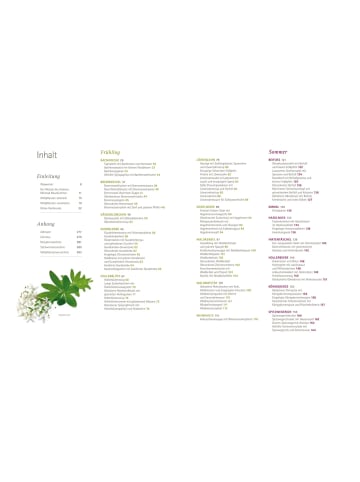 EDITION So schmecken Wildpflanzen | 144 Rezepte mit 30 Kräutern, Früchten und Pilzen