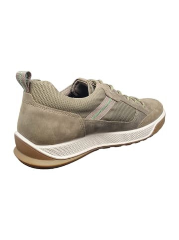 Ecco Sportliche Schnürschuhe in Oliv