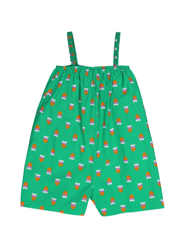 Fred´s World by GREEN COTTON Shorts-Anzug in Grass/lavender/Tangerine