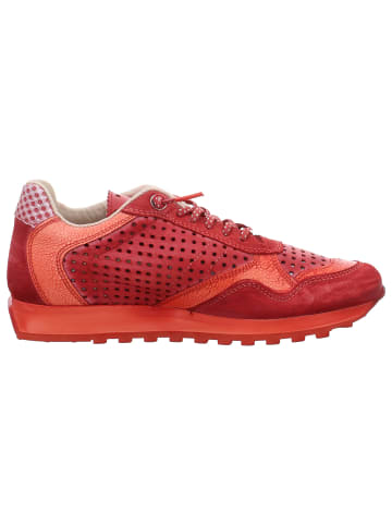 Cetti Sneaker Low in rot