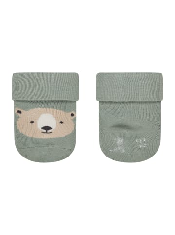 Sterntaler Baby Socken 3er-Pack Bär in eukalyptus
