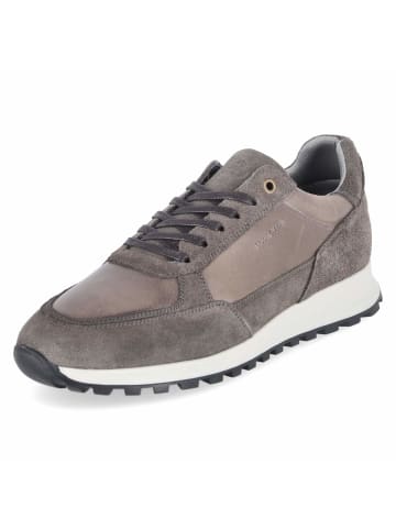 Bullboxer Low Sneaker in grau