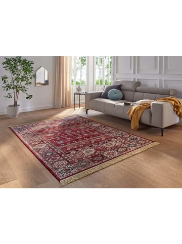 Tara Carpet Palazzo-Royal-Teppich Shal Allover in Rot