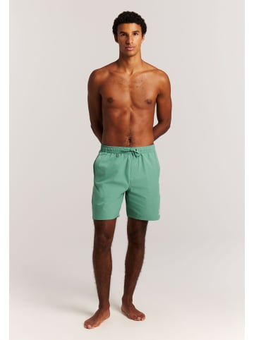 Protest " PRTBaky in Frosty Green