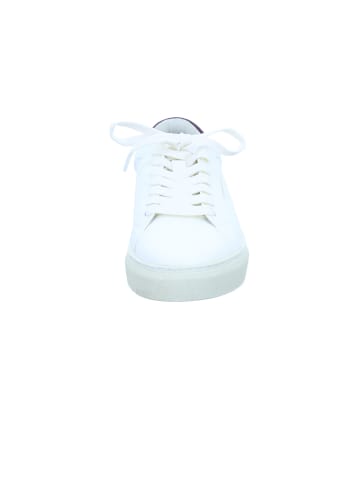 Flamingos Life Sneaker Hampton Court in white/wine
