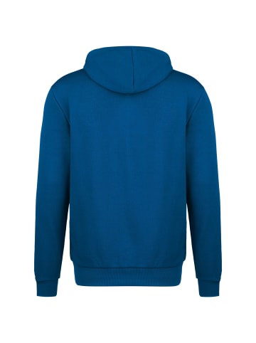 Puma Kapuzensweatjacke TeamGOAL 23 Casuals in blau