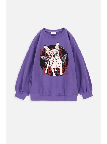 Coccodrillo Sweatshirt in violett