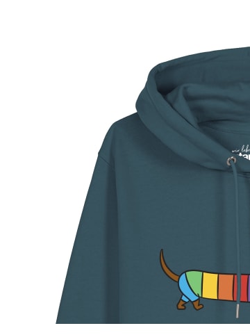 wat? Apparel Sweatshirt Regenbogen Dackel in Petrol