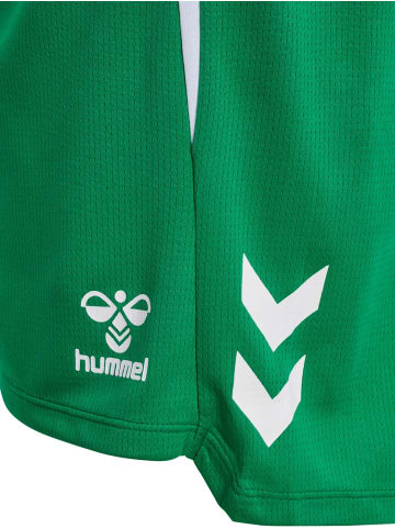 Hummel Short "Lead 2.0 Shorts" in Multicolor
