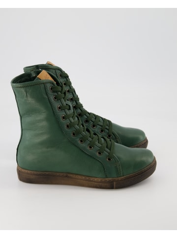Andrea Conti SHOES Winterstiefel in Grün