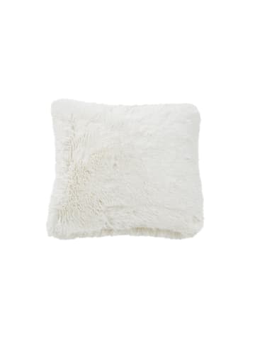 Cats Collection Kissen Flurry in star white