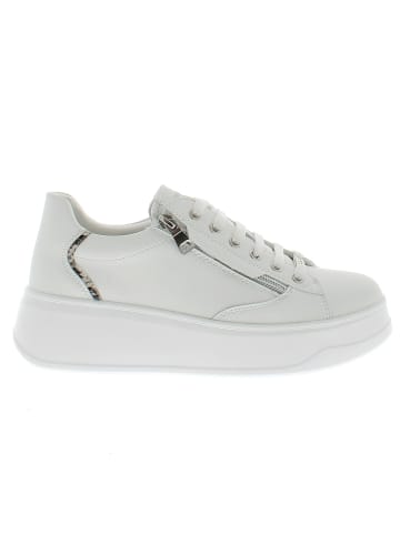 Armata di Mare Sneaker AMDS61H23-STRWHTROCK Weiß