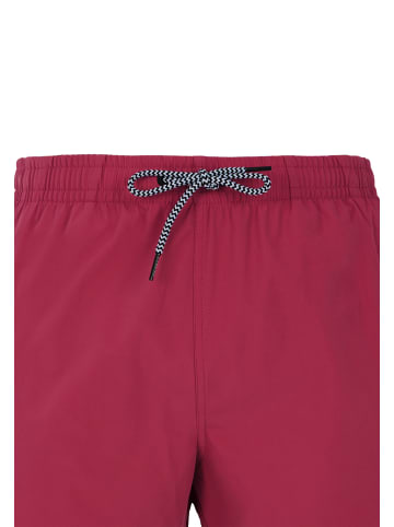 Protest " PRTYESSINE in Red Sangria