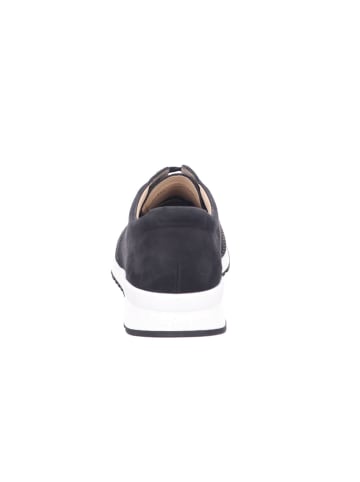 Finn Comfort Sneaker Low in schwarz