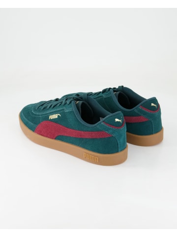 Puma Sneaker low in Grün