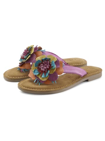 LASCANA Pantolette in Lila/gelb/orange/türkis