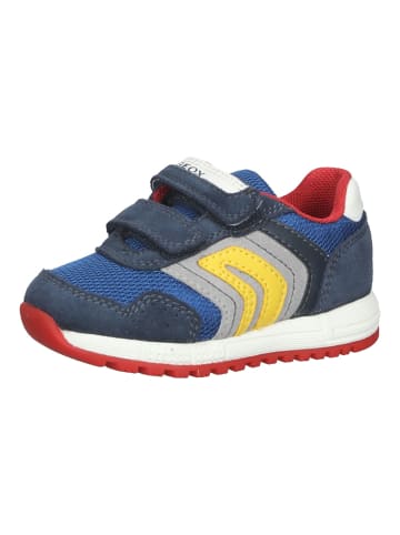 Geox Sneaker in Navy/Gelb