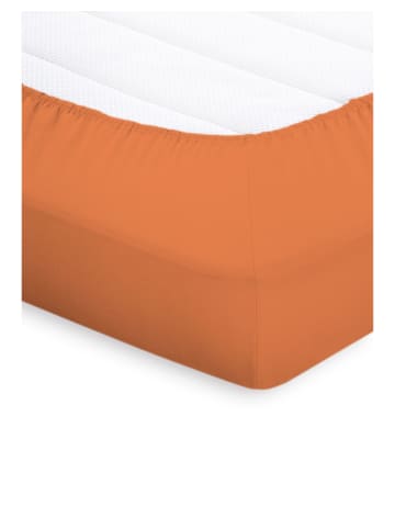 Bassetti Spannbettlaken Topper in orange