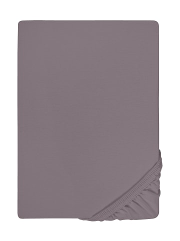 Biberna Spannbetttuch Jersey-Elastic Boxspring in silber grau