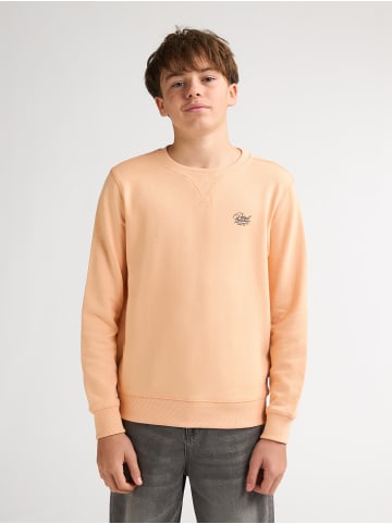 Petrol Industries Bedrucktes Crewneck-Sweatshirt Ocotillo in Orange