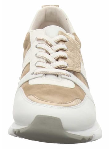 Kennel & Schmenger Sneaker Low in beige