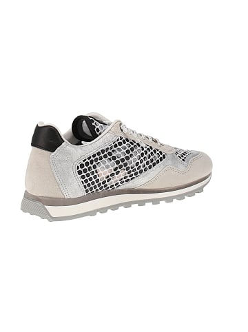 Cetti Sneaker low C-848 SRA V26 in Mehrfarbig