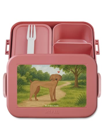 Mr. & Mrs. Panda Bento-Brotdose Hund Dogge Design ohne Spruch in Rot Pastell