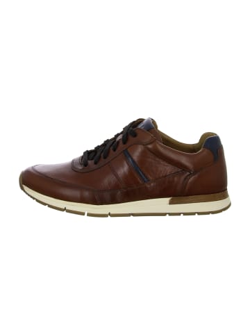 Pius Gabor Sportliche Schnürschuhe in Braun