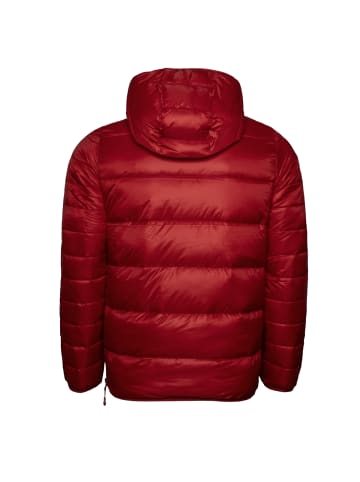 Champion Winterjacke Hooded Jacket in rot