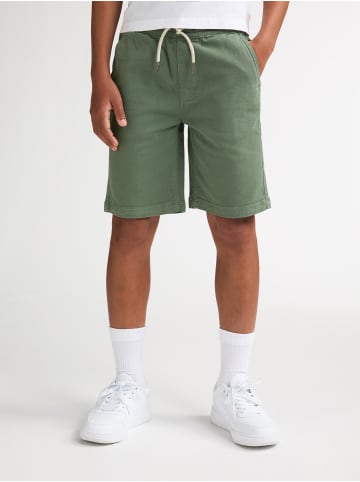 Petrol Industries Chino-Shorts Sur in Grün