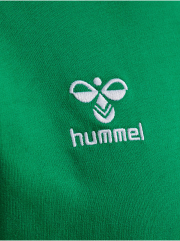 Hummel Verstellbare Taille Kapuzenpullover Hmlgo Herren in JELLY BEAN