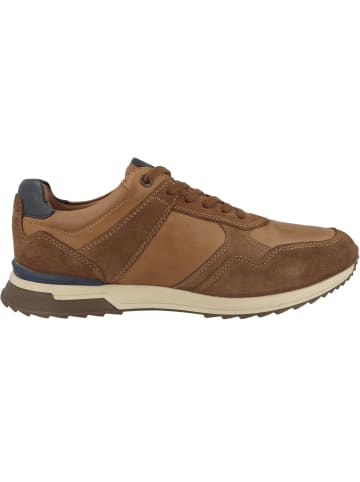 Camel Active Halbschuhe 54ALA01 in braun