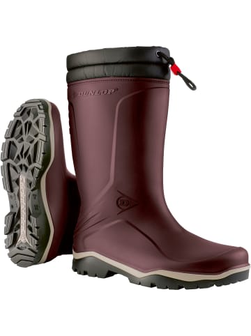 Dunlop Stiefel Blizzard in dunkelrot in dunkelrot