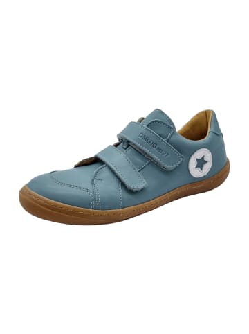 Däumling Klettschuhe in Türkis