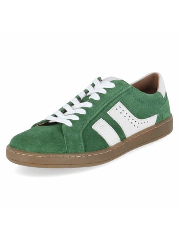 Josef Seibel Schnürhalbschuh in grün