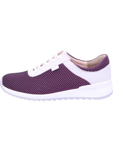 Finn Comfort Schnürschuh CERRITOS in pink/bianco