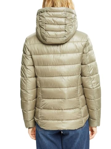 ESPRIT Jacke in pale khaki