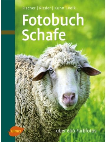 Ulmer Fotobuch Schafe