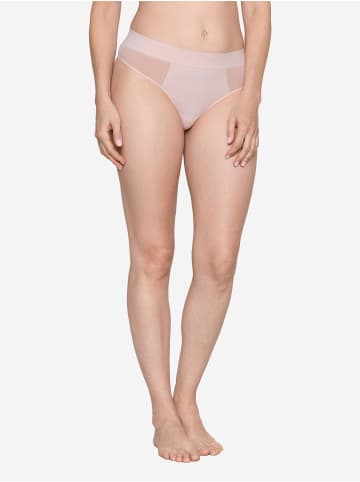 JOOP! Tanga Intimate Apparel in open purple/black