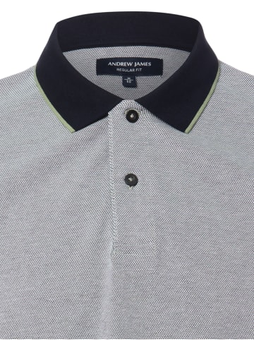 Andrew James Poloshirt in lind